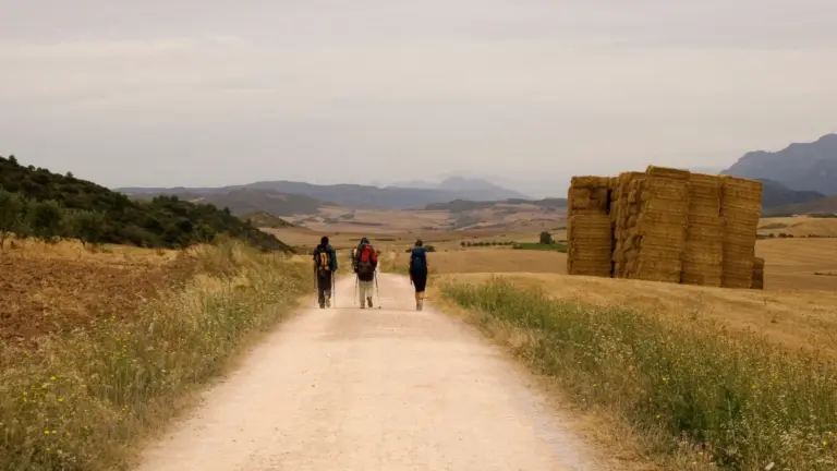 La Ruta de la Lana