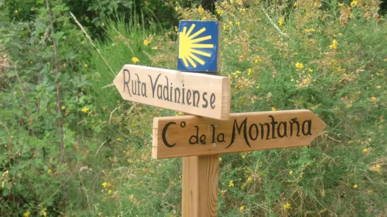 El Camino Vadinense