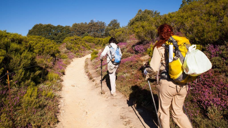 Es seguro hacer el Camino de Santiago