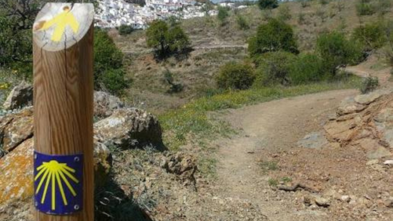 El Consejo Jacobeo